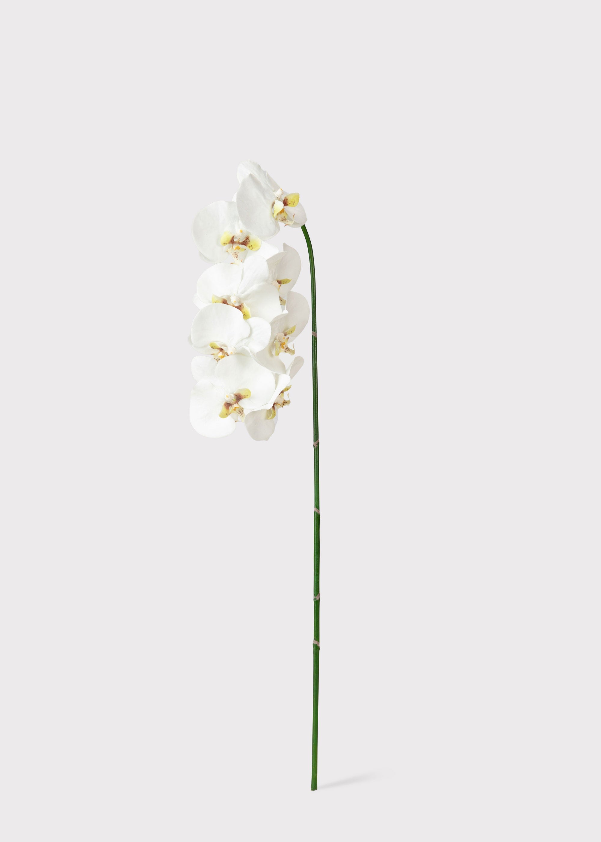 White Faux Orchid Stem for Vase and Wedding Styling