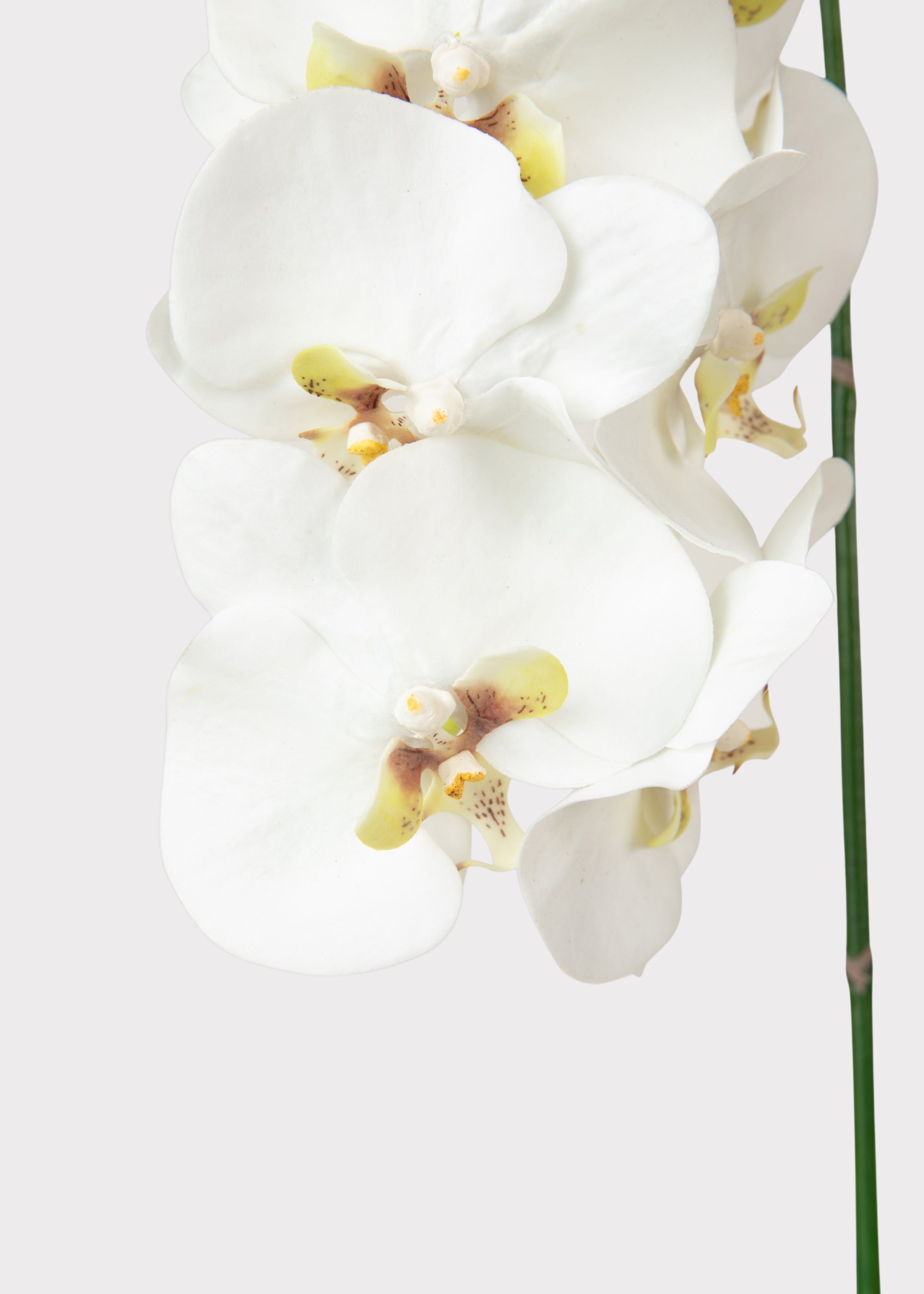 White Faux Orchid Stem for Vase and Wedding Styling