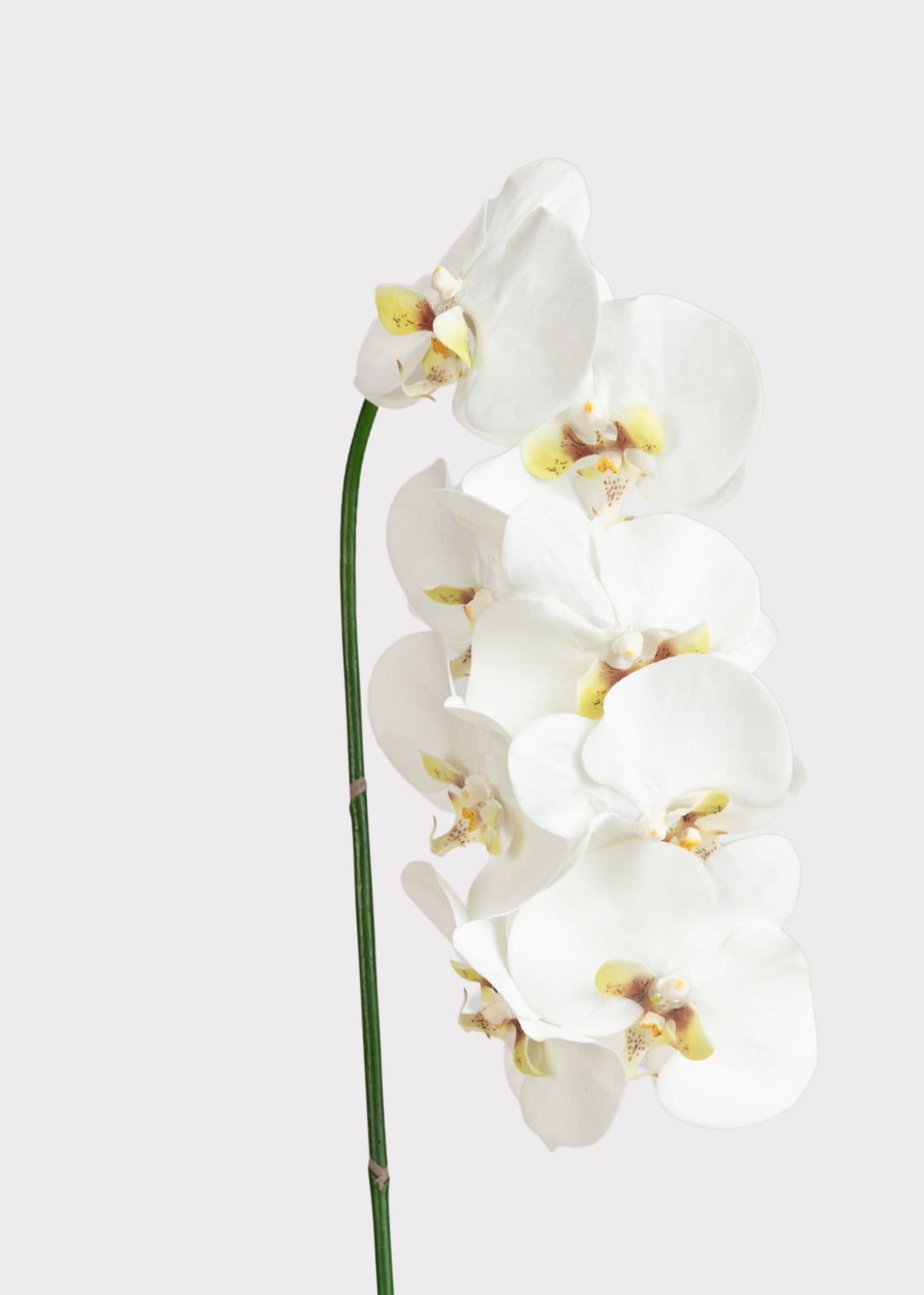 White Faux Orchid Stem for Vase and Wedding Styling