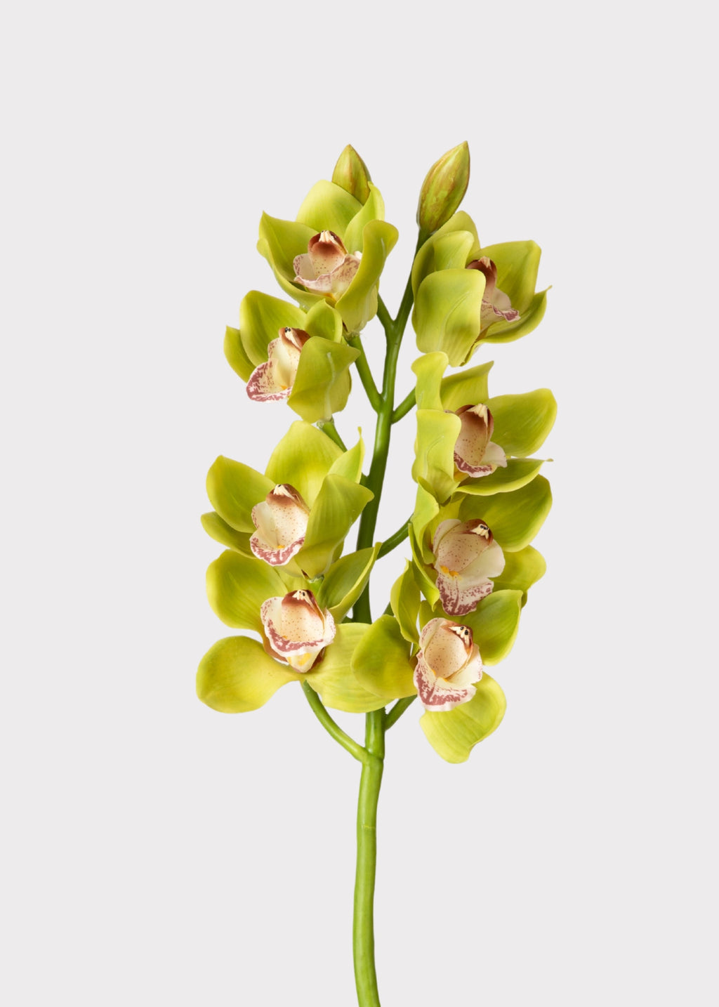Burgundy Faux Orchid Stem for Vase and Wedding Styling
