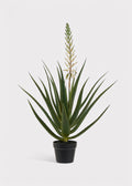 Faux Cactus Arrangement for Home Decor