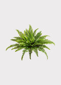 Faux Fern Stem for Vase Styling