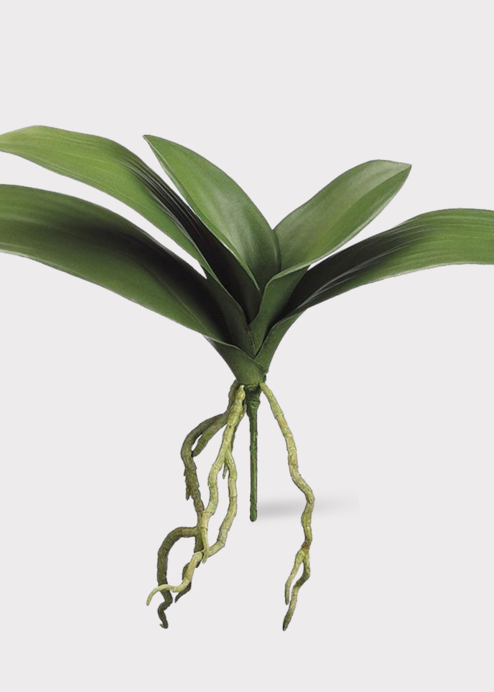 Faux Orchid Stem for Vase Styling