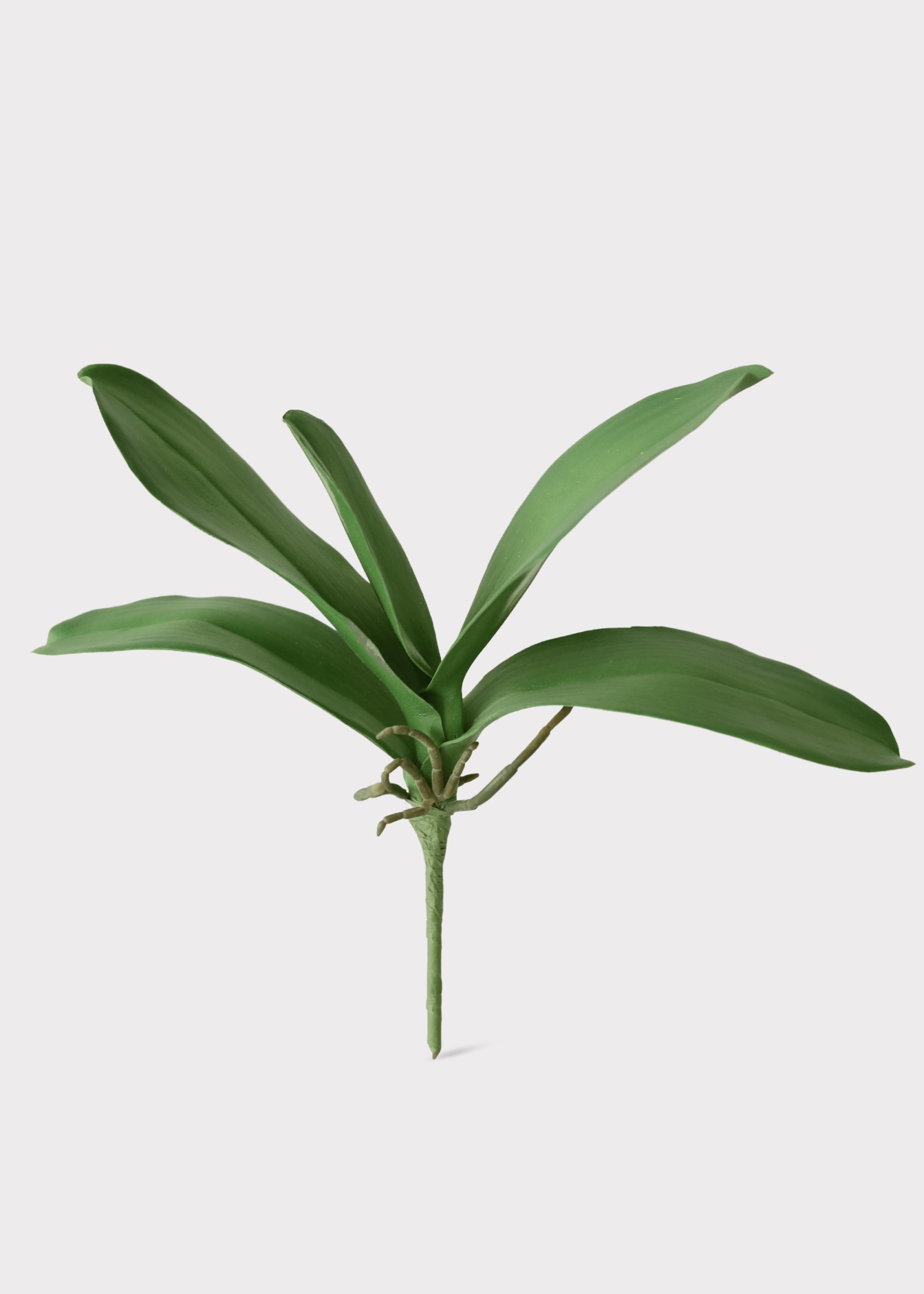 Faux Orchid Stem for Vase Styling