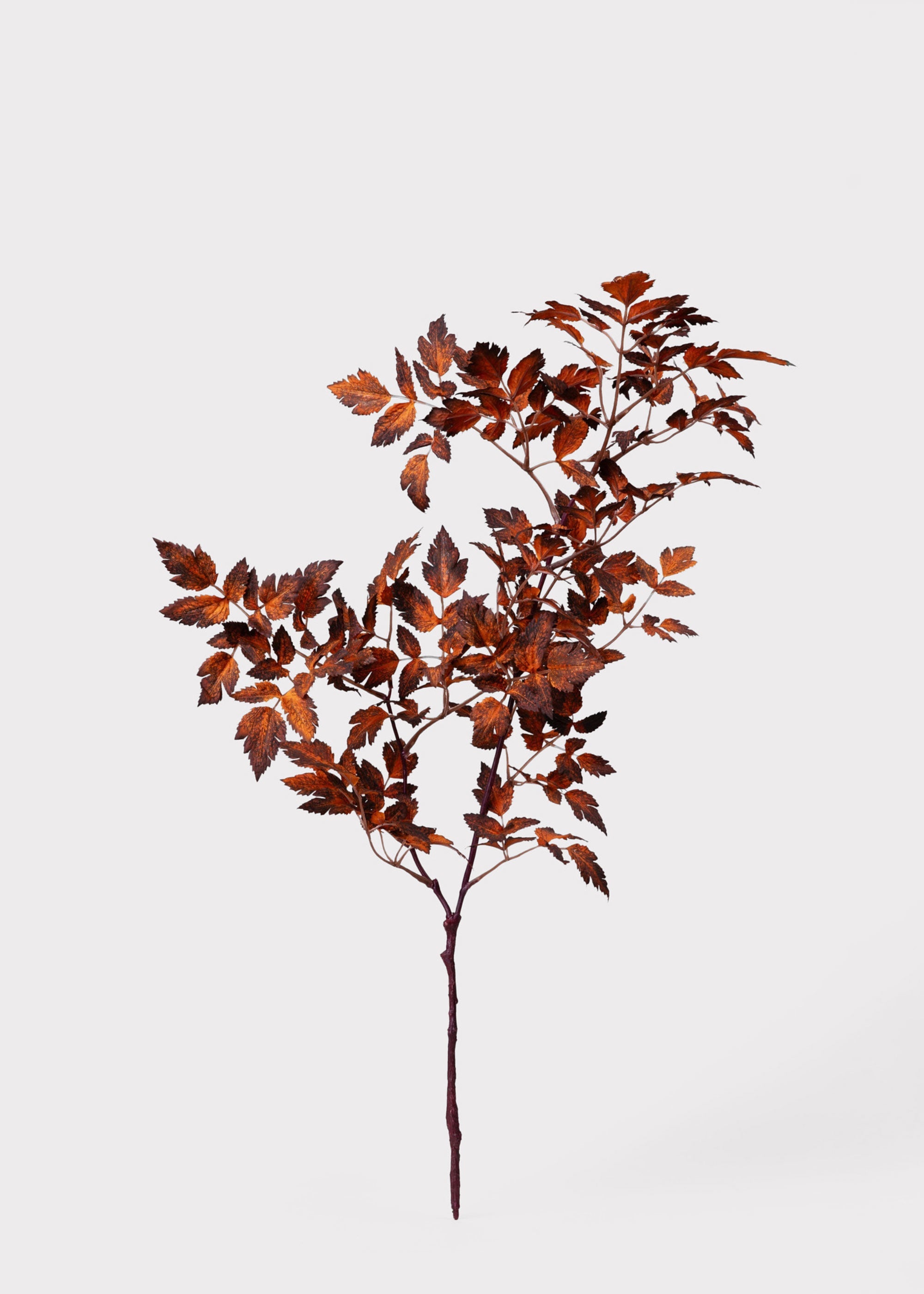 Faux Afloral™ Cimicifuga Leaf Spray Brown Stem for Seasonal Vase Styling