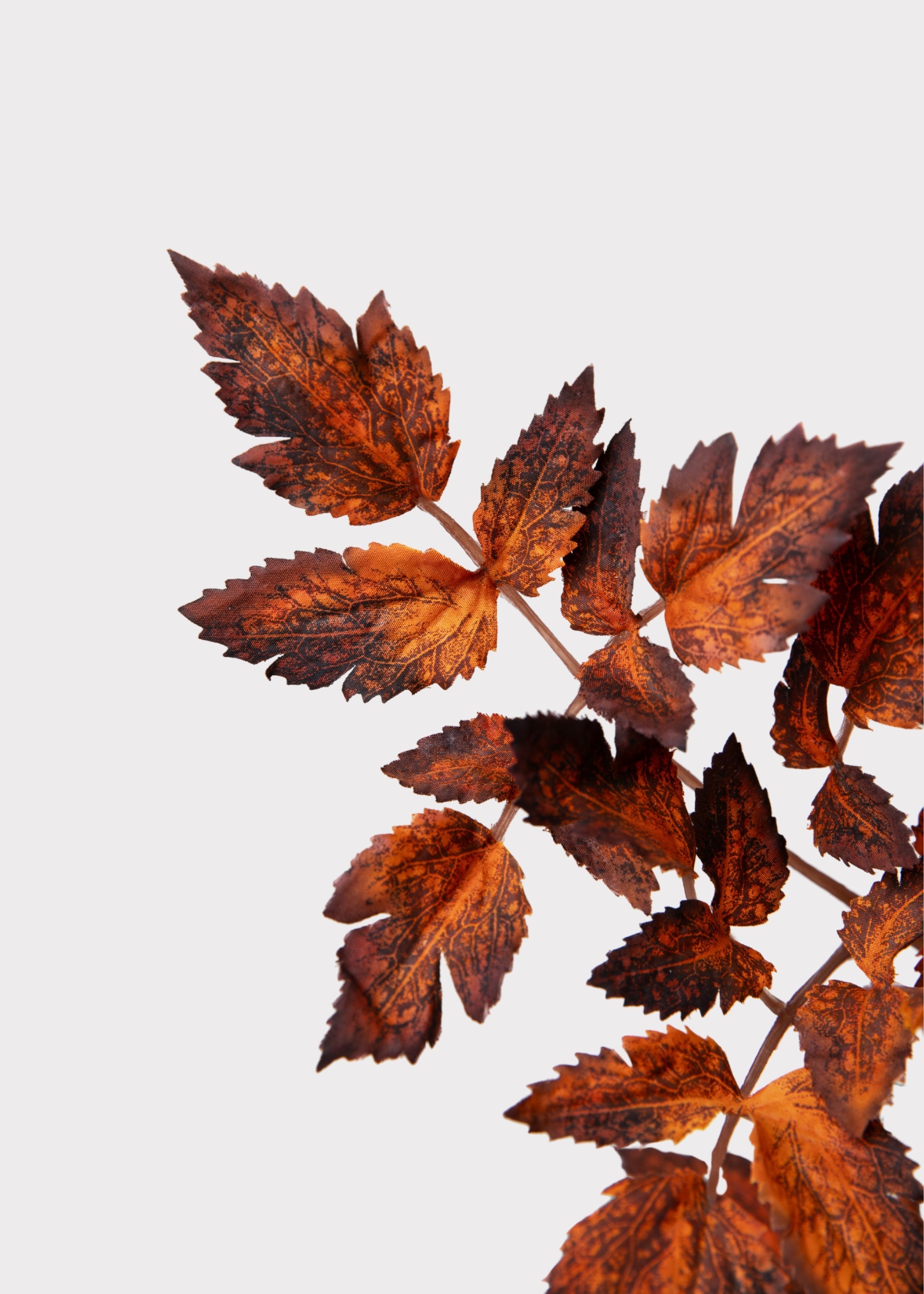 Faux Afloral™ Cimicifuga Leaf Spray Brown Stem for Seasonal Vase Styling