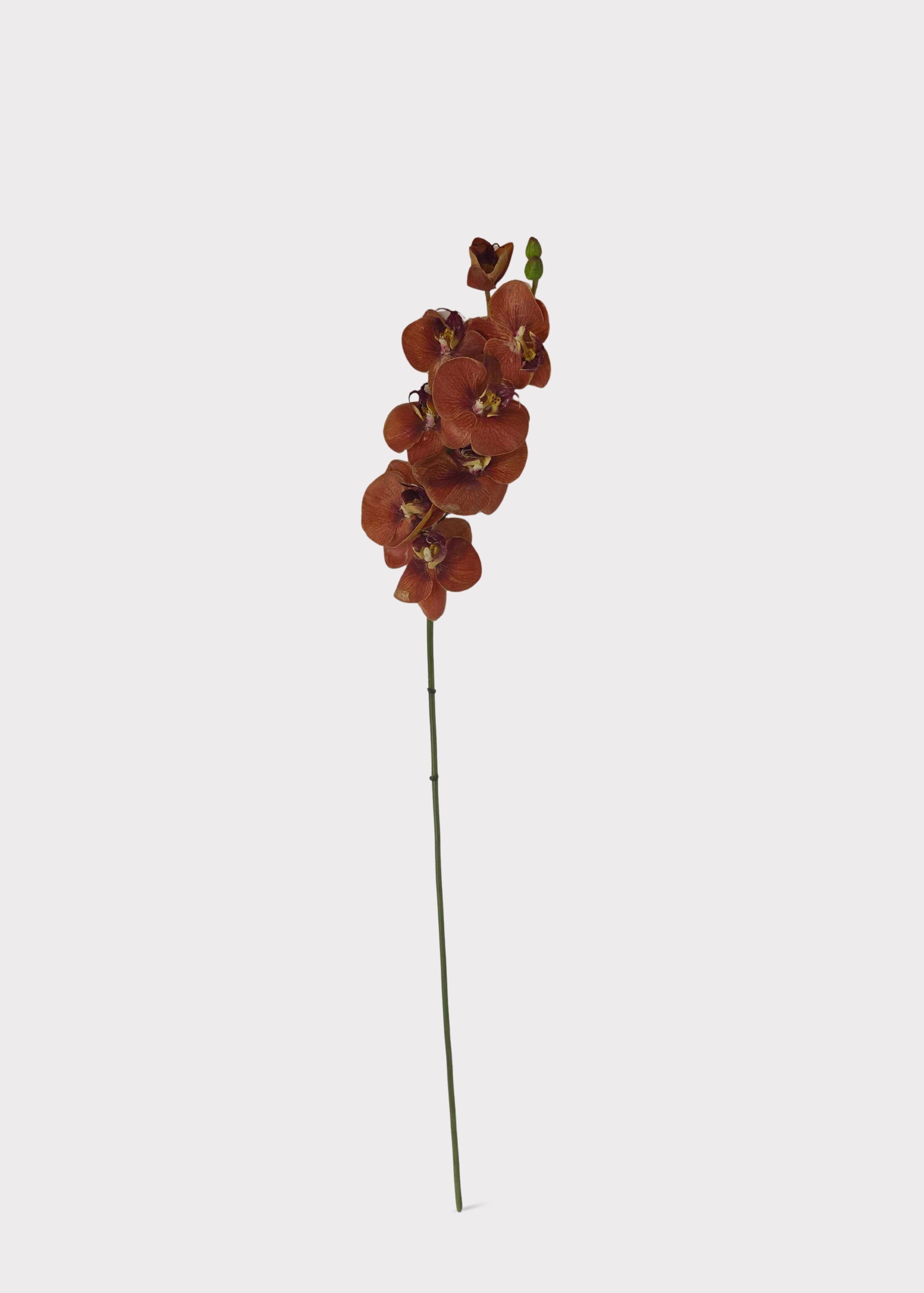 Orange Real Touch Orchid Stem for Seasonal Vase Styling