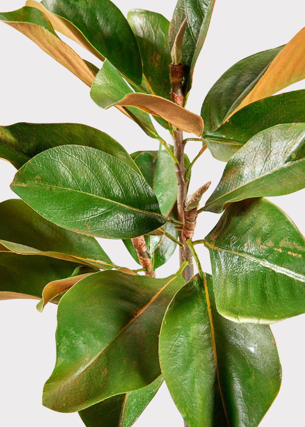 Faux Magnolia Branch for Seasonal Vase Styling