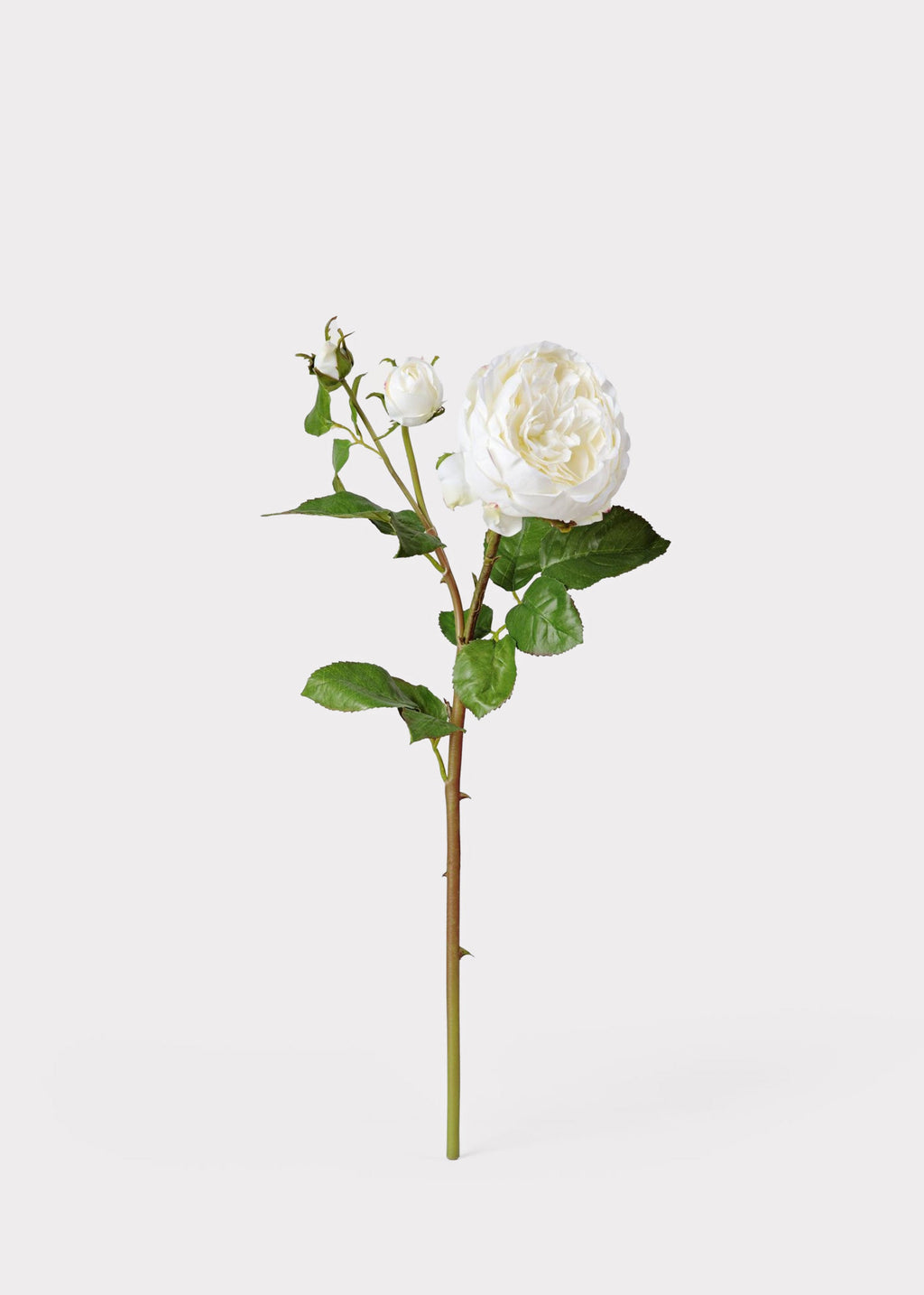 Real Touch Rose Stem for Vase Styling