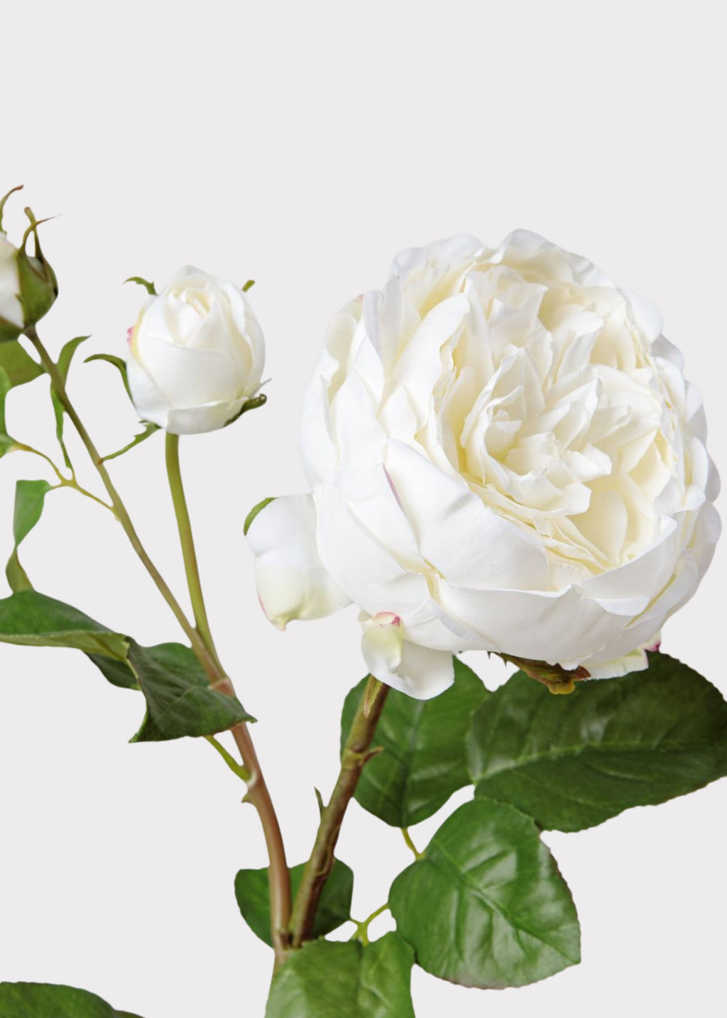 Real Touch Rose Stem for Vase Styling