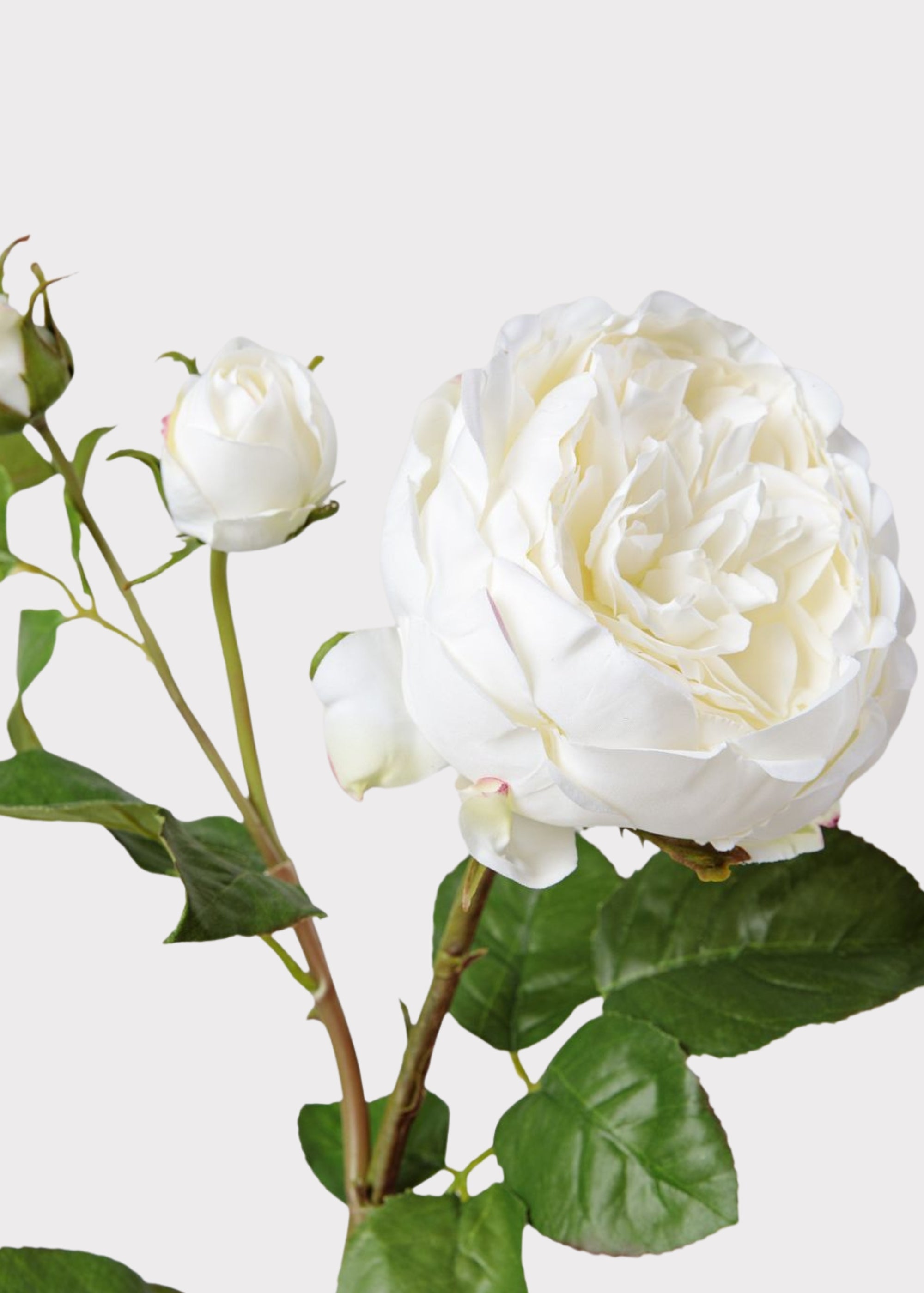 Real Touch Rose Stem for Vase Styling