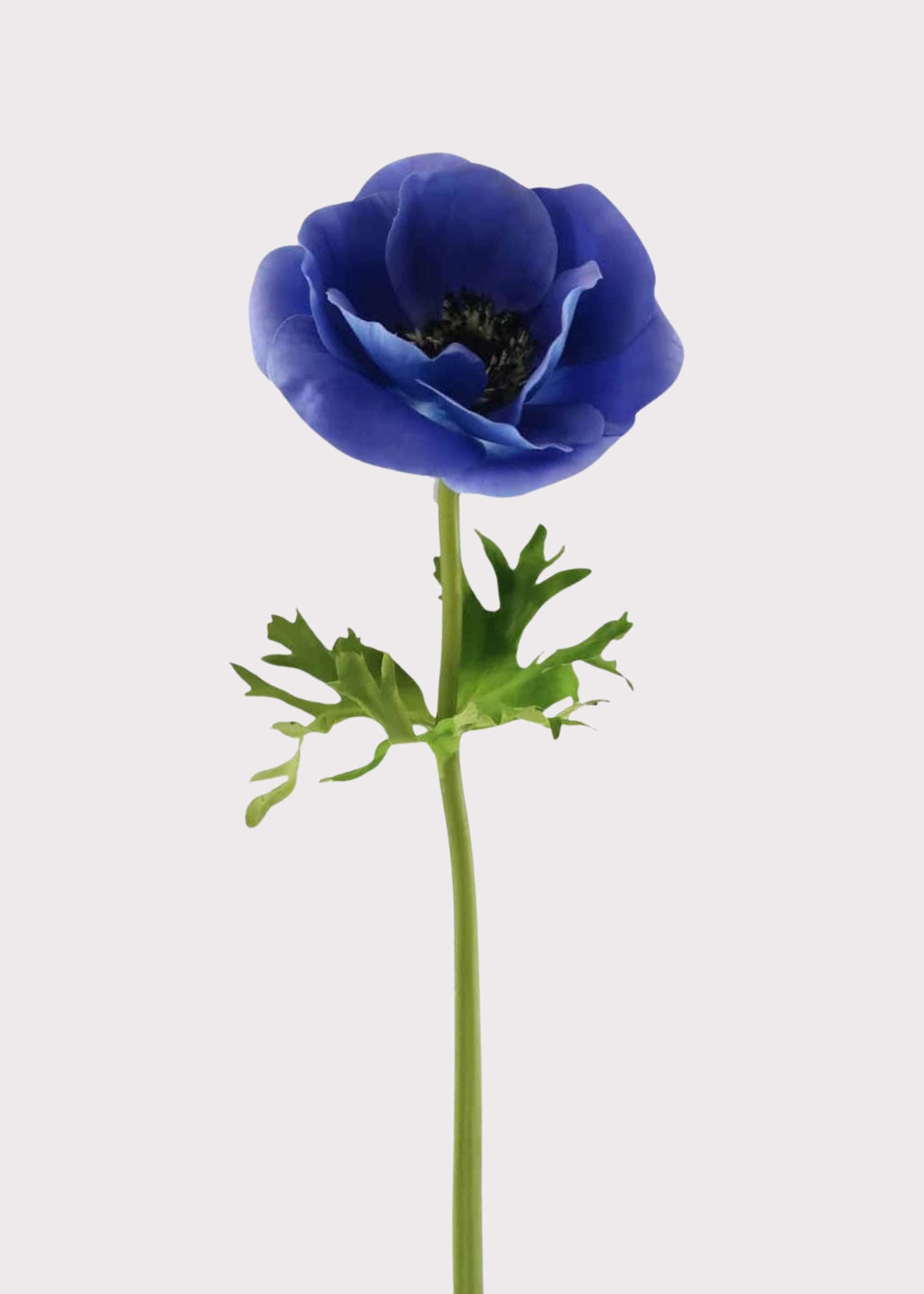 Blue Real Touch Poppy, Anemone Stem for Vase Styling