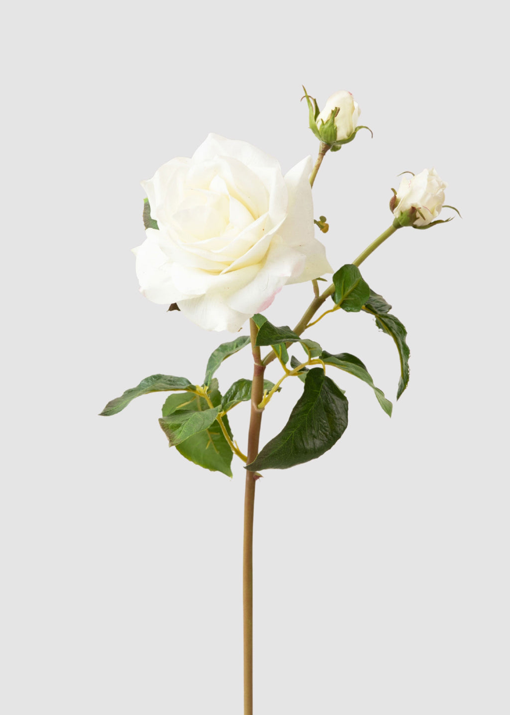 White Real Touch Rose Stem for Vase and Wedding Styling