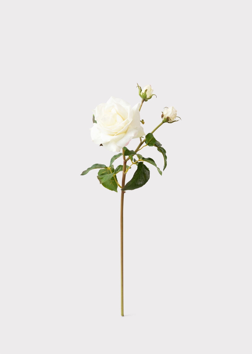 White Real Touch Rose Stem for Vase and Wedding Styling