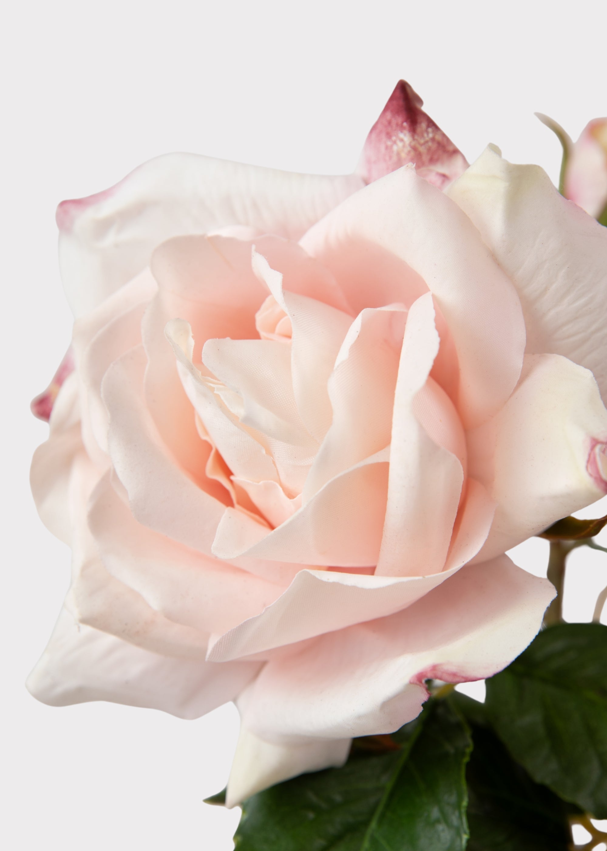 Soft Pink Real Touch Rose Stem for Vase and Wedding Styling