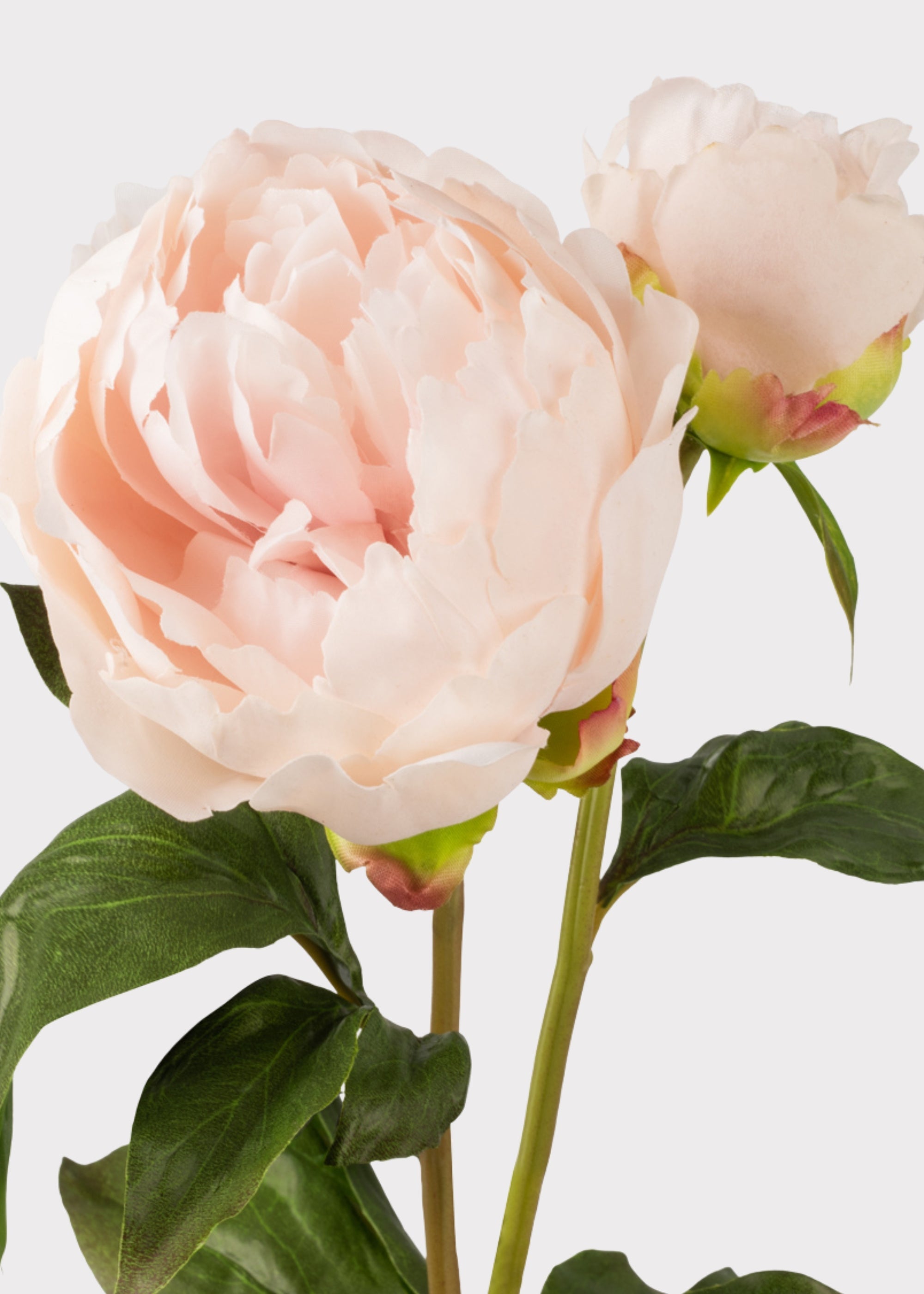 Blush Real Touch Peony Stem for Vase Styling