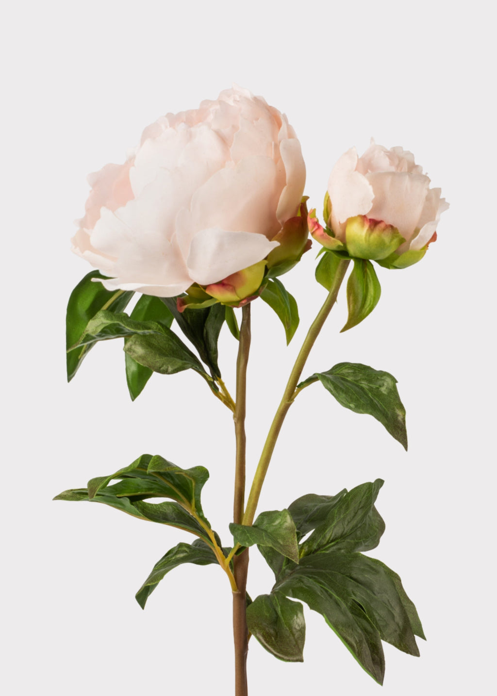 Blush Real Touch Peony Stem for Vase Styling
