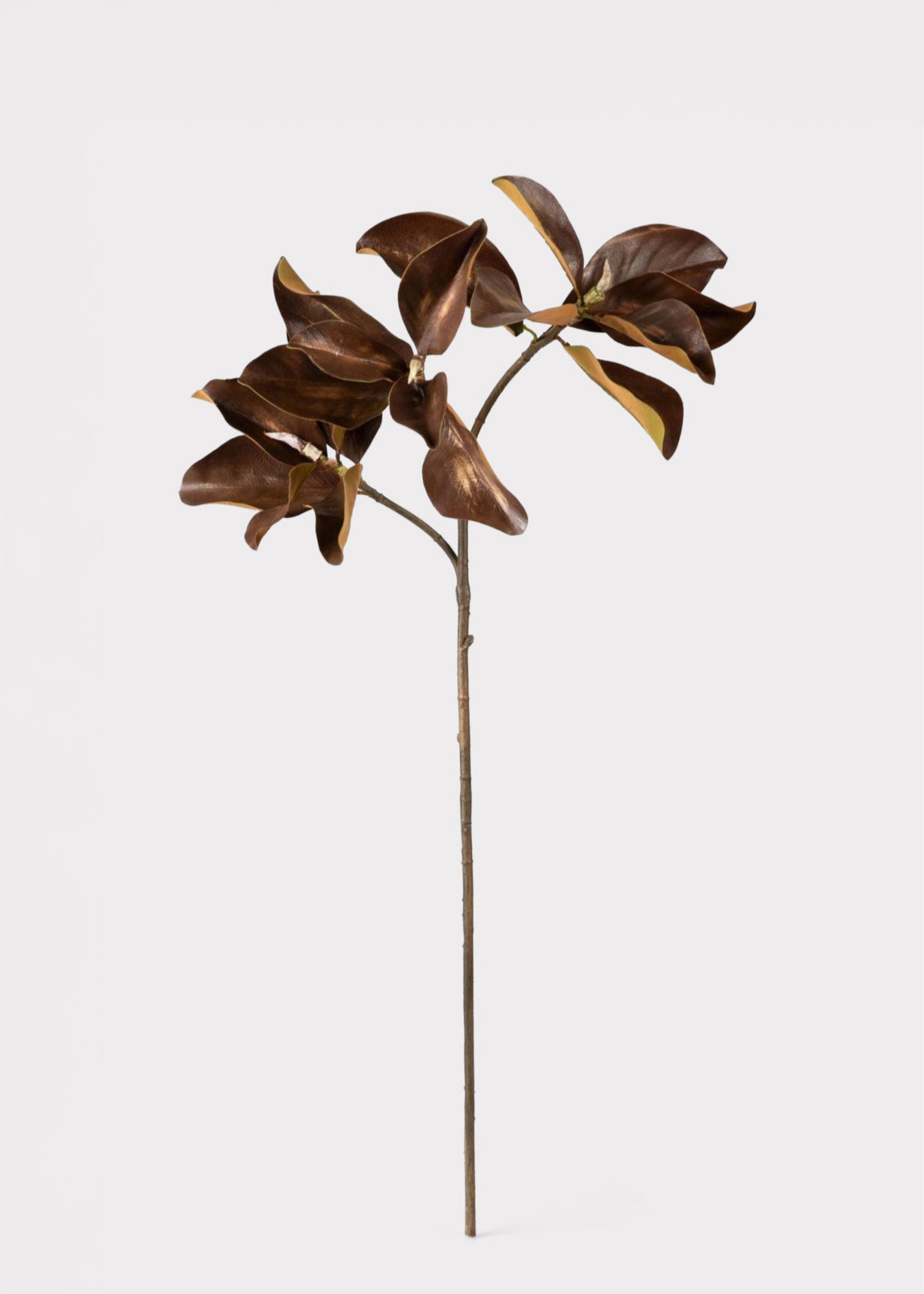 Brown Faux Magnolia Branch for Seasonal Vase Styling
