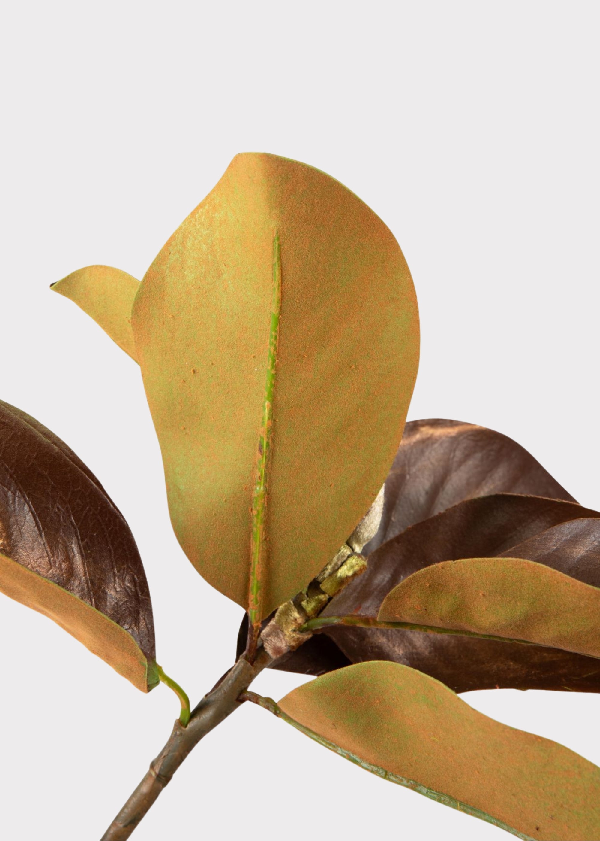 Brown Faux Magnolia Branch for Seasonal Vase Styling