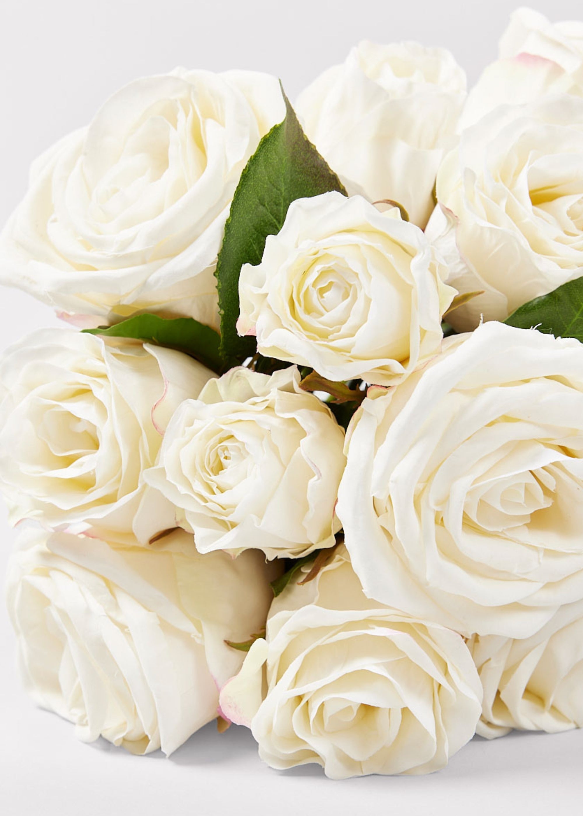 Cream Rose for Home Styling