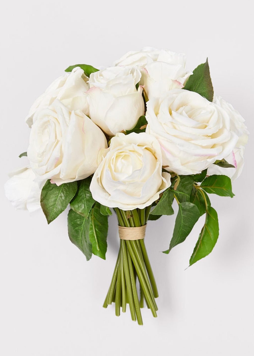 Cream Rose for Home Styling