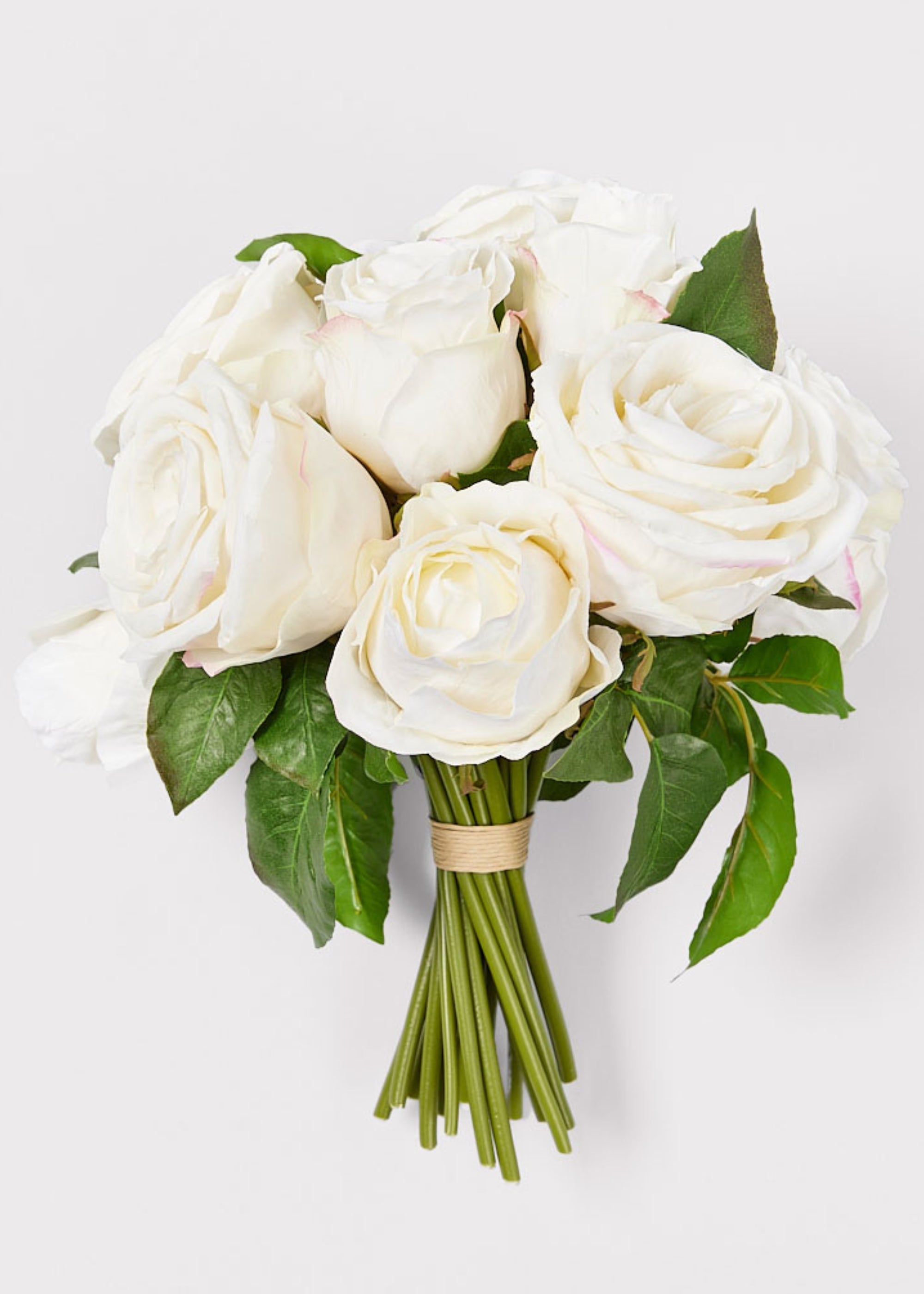 Cream Rose for Home Styling