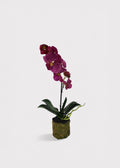 Pink Faux Orchid Plant for Planters and Shelves