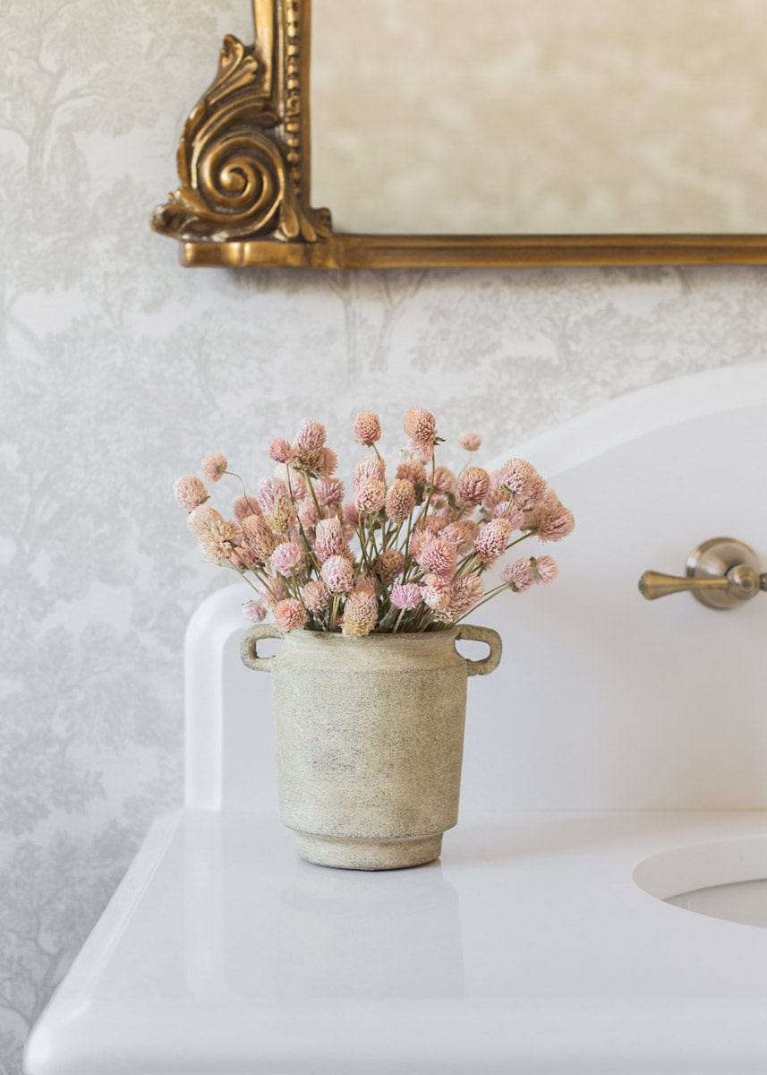 Air-dried Globe Amaranth Pink for Home Styling