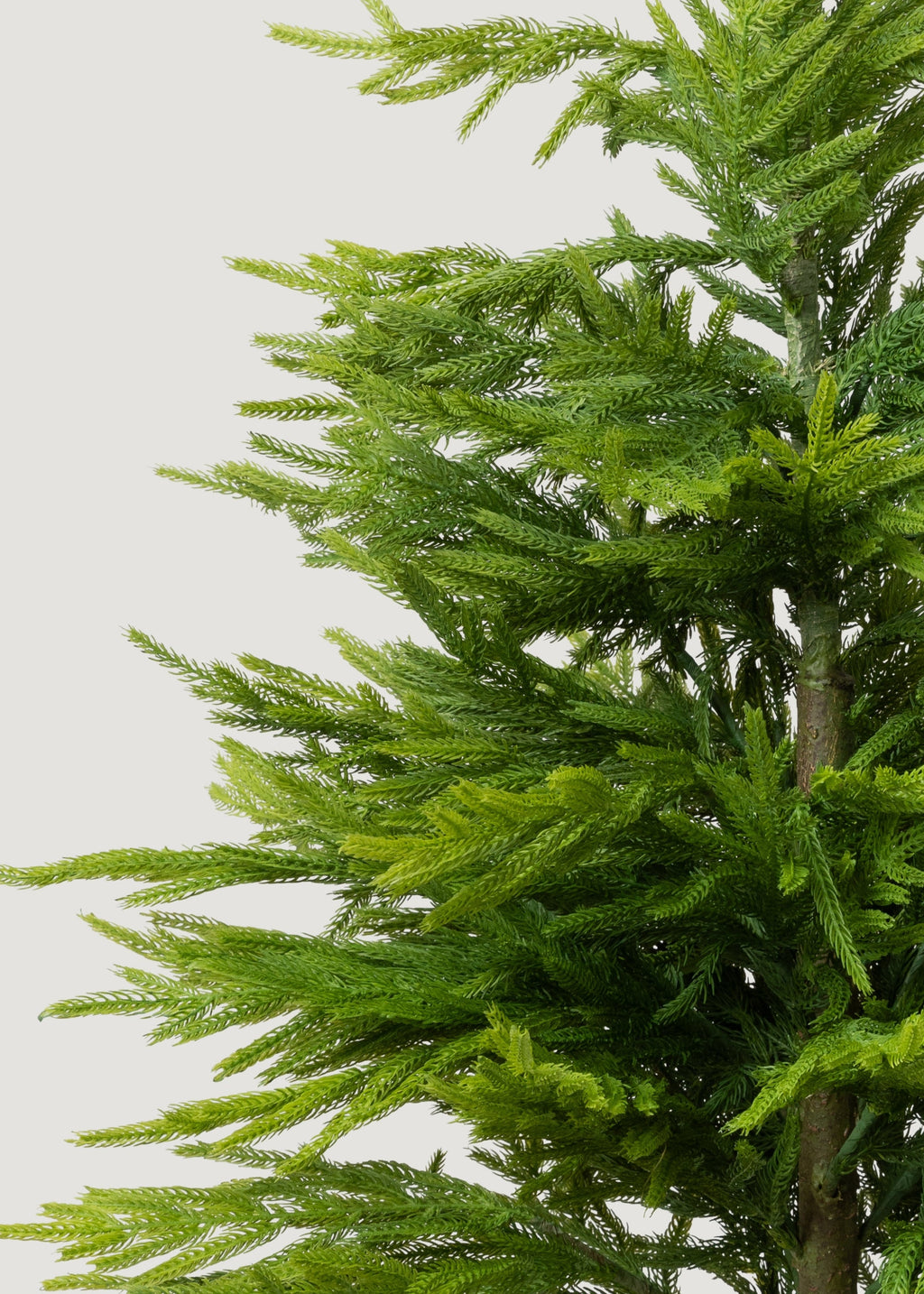 Faux Pine Arrangement for Home Decor