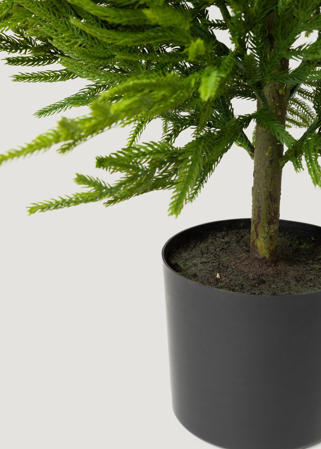 Faux Pine Arrangement for Home Decor