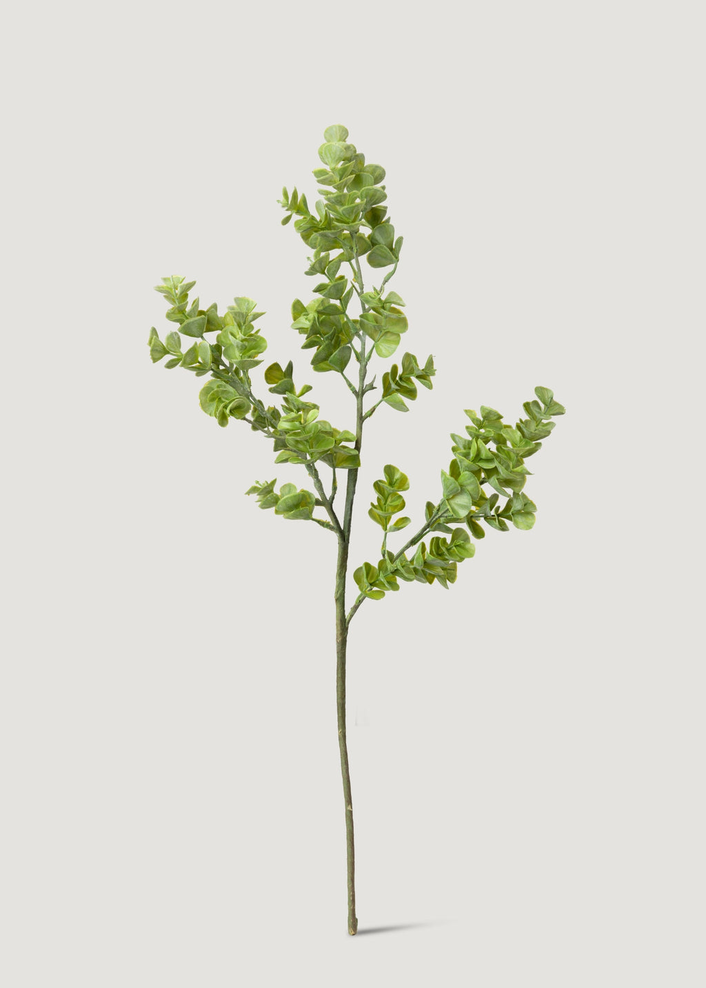 Real Touch Eucalyptus Branch for Vase Styling