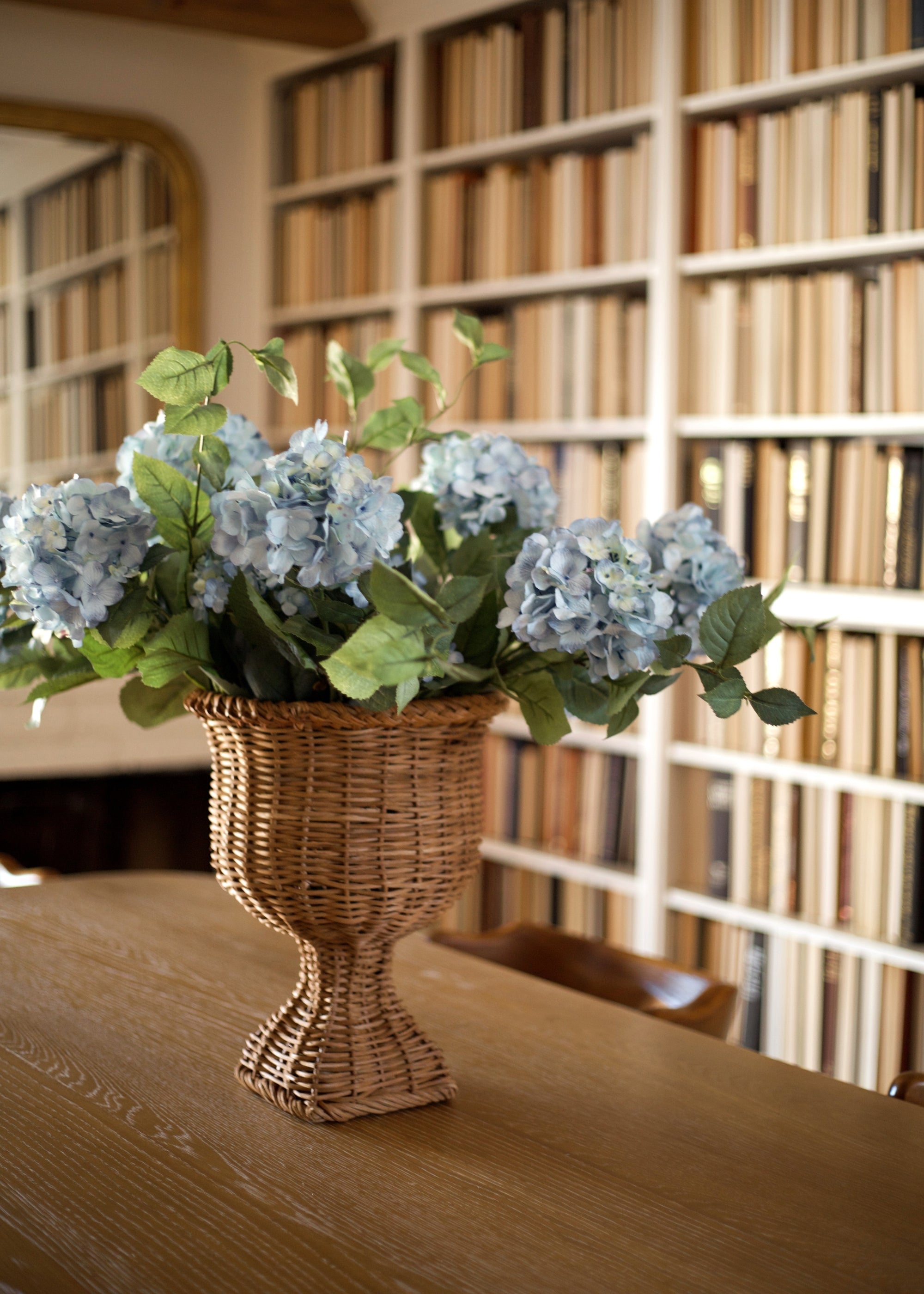 Blue Hydrangea for Home Styling