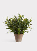 Green Faux Olive Arrangement for Home Decor
