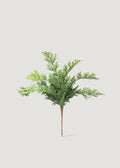 Faux Pine, Cedar Plant for Planters and Shelves