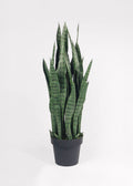 Faux Uv Treated Outdoor Potted Sansevieria Snake Arrangement for Home Decor