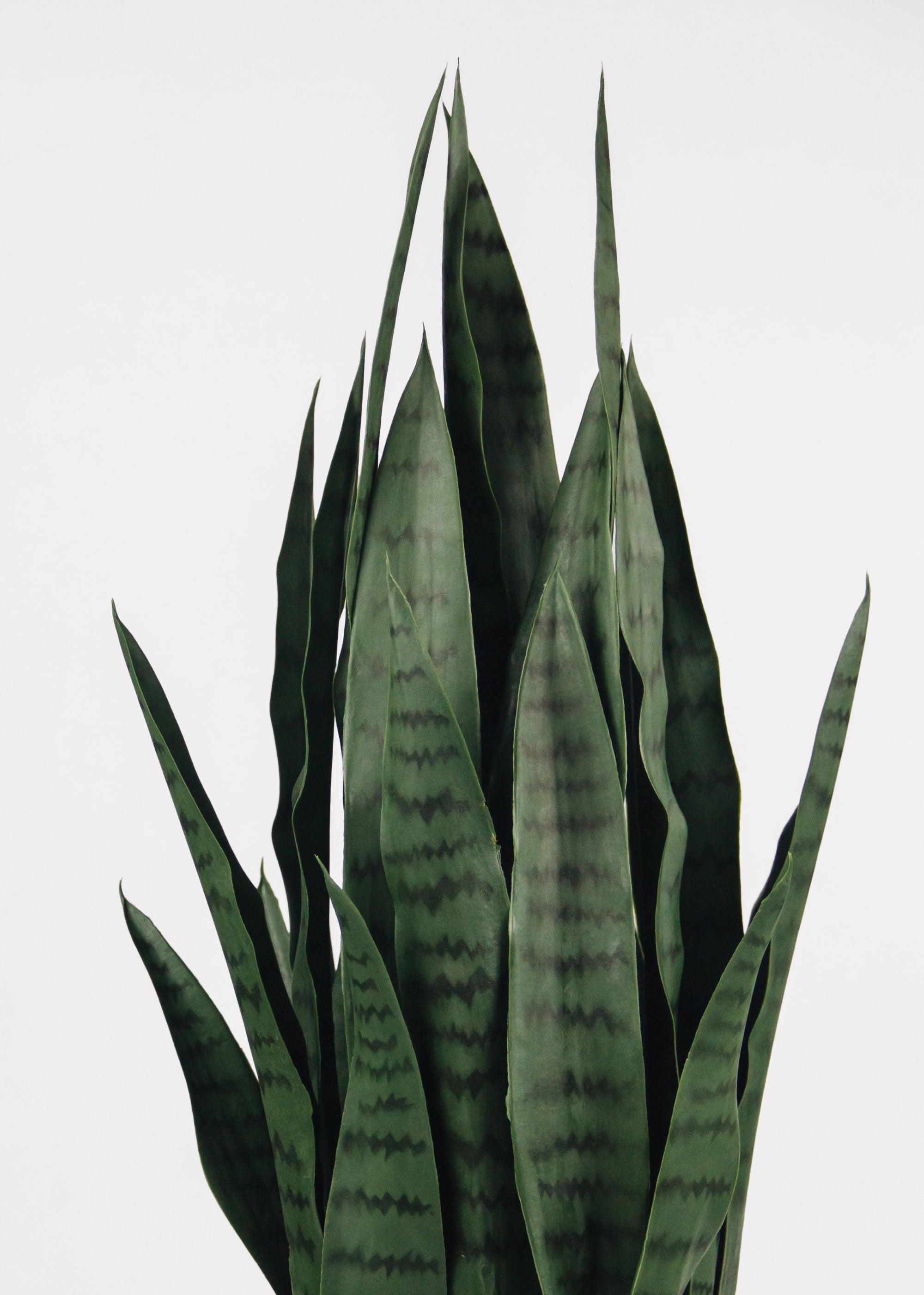 Faux Uv Treated Outdoor Potted Sansevieria Snake Arrangement for Home Decor