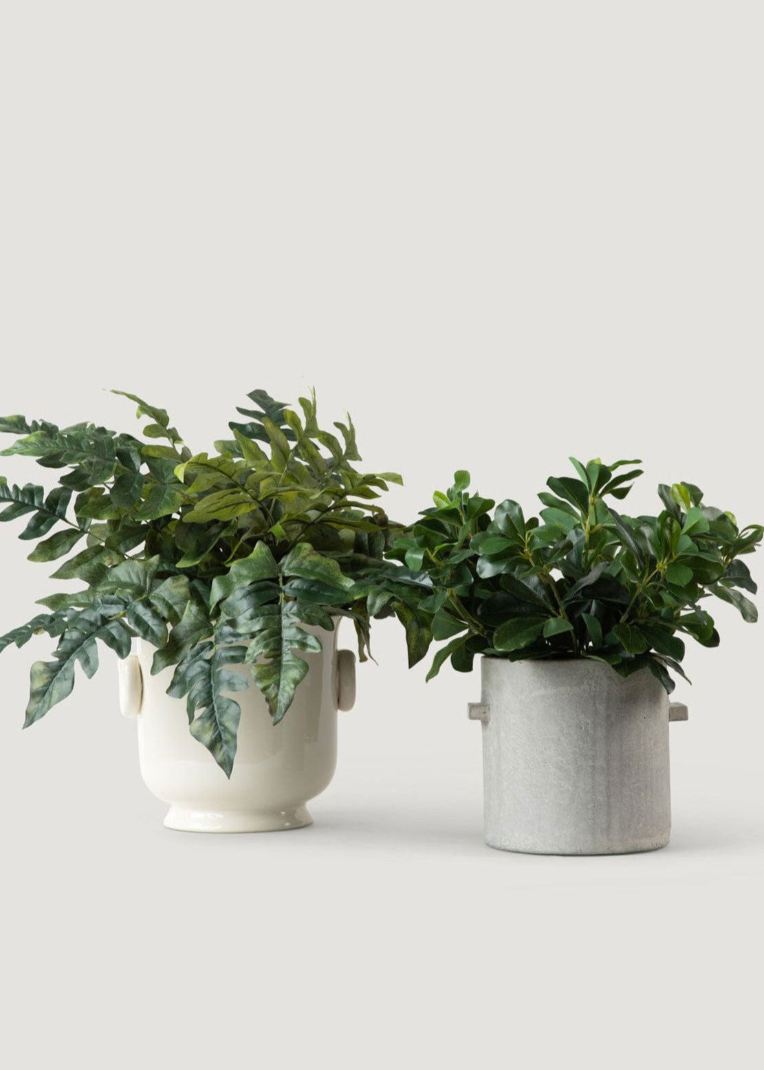 Faux Save - Wax Privet Leaf Stem for Vase Styling