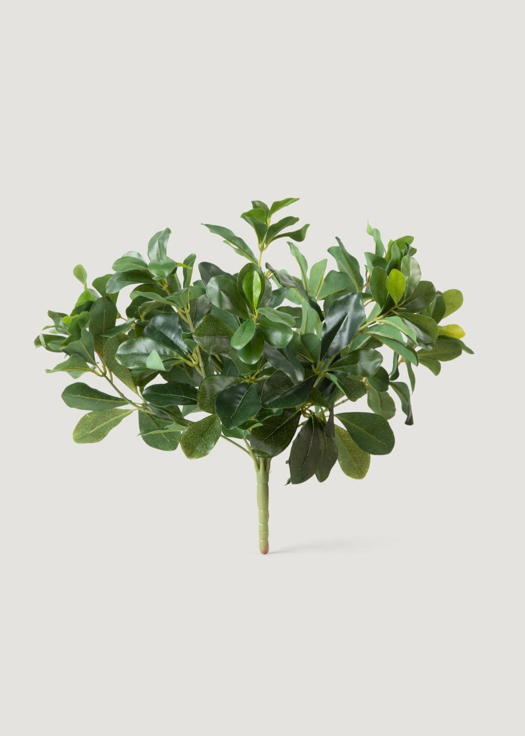 Faux Save - Wax Privet Leaf Stem for Vase Styling