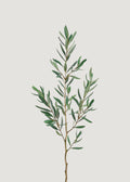 Green Faux Olive Branch for Vase Styling