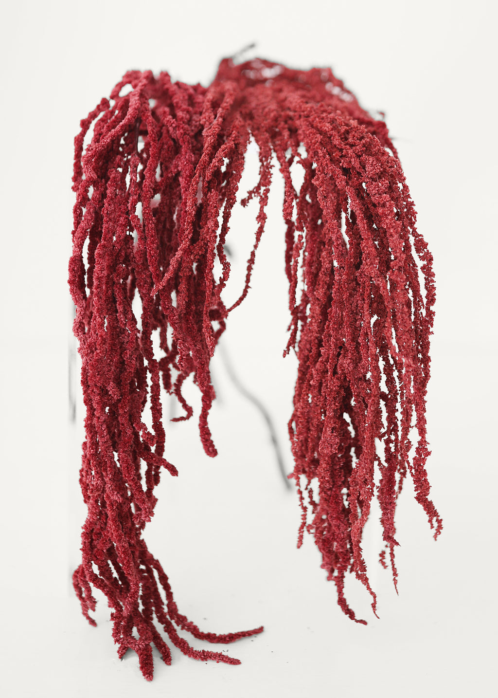 Burgundy Preserved Hanging Amaranthus for Home Styling