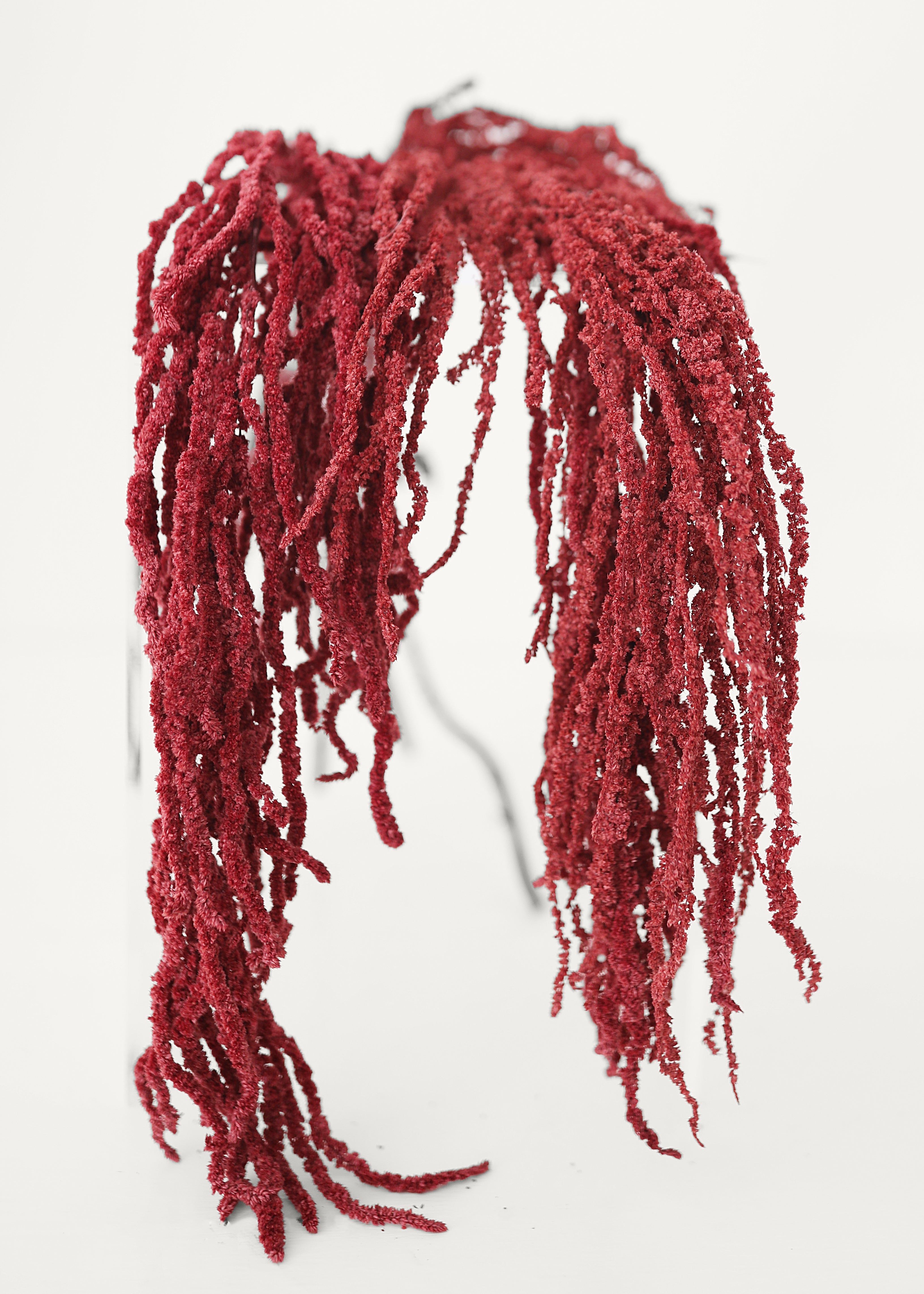 Burgundy Preserved Hanging Amaranthus for Home Styling