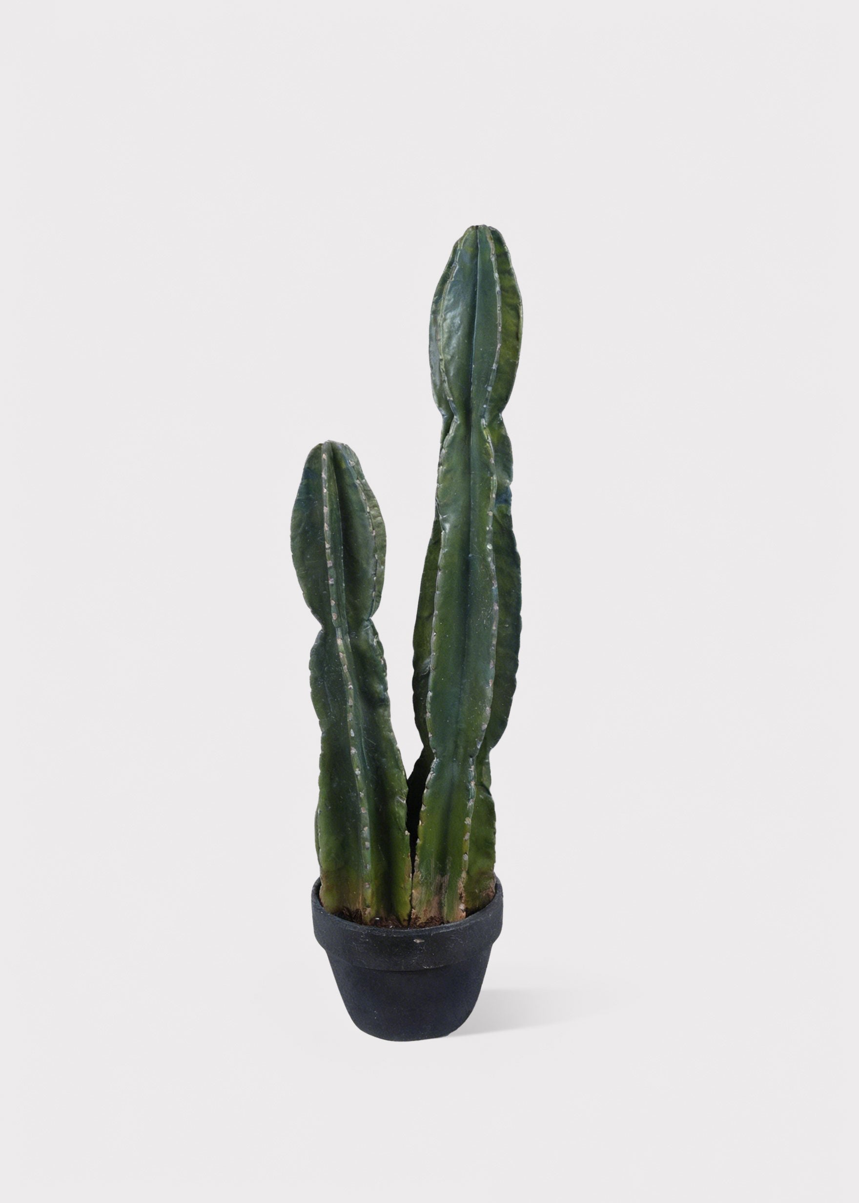 Faux Cactus Arrangement for Home Decor
