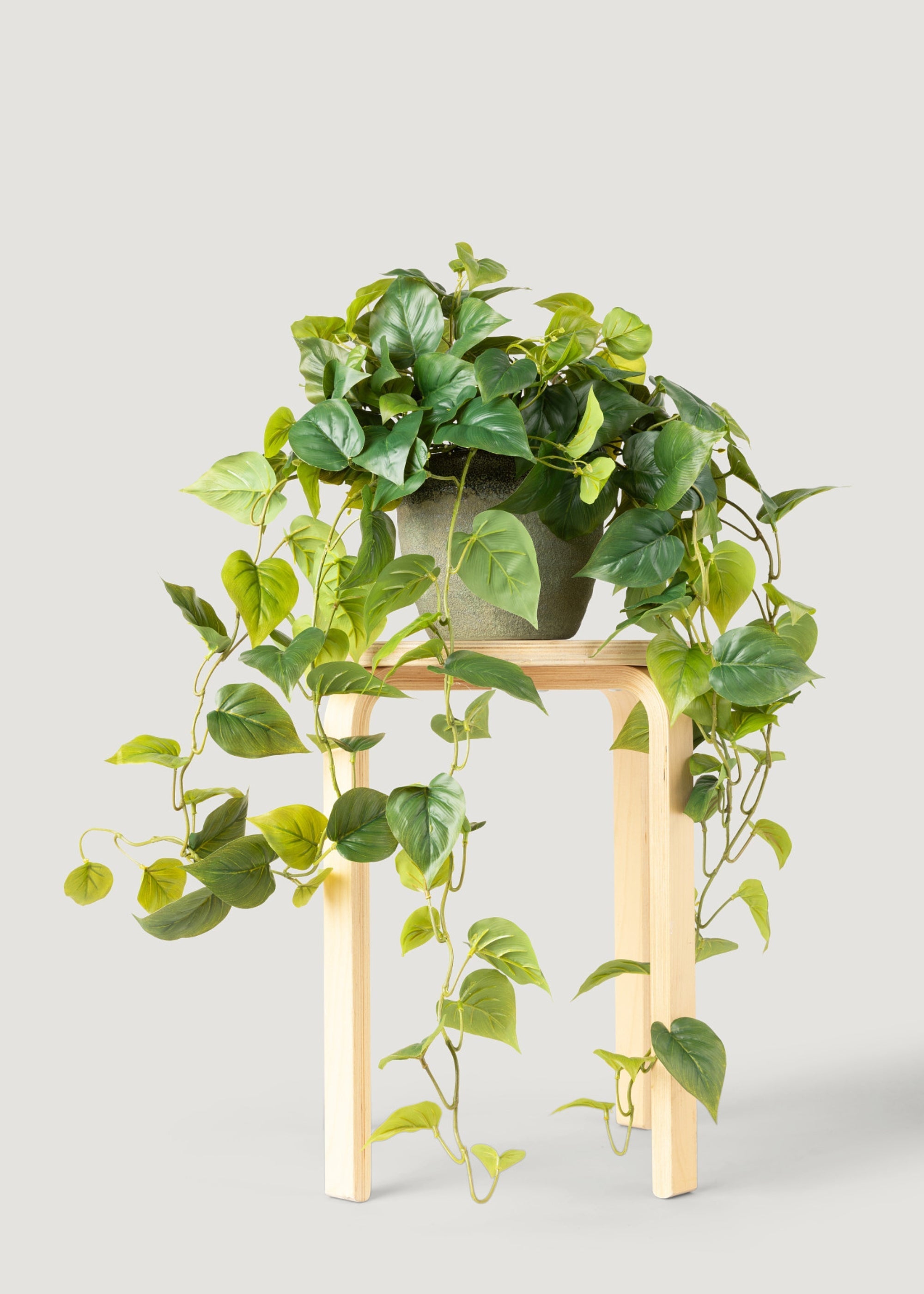 Real Touch Philodendron Hanging Bush for Vase Styling