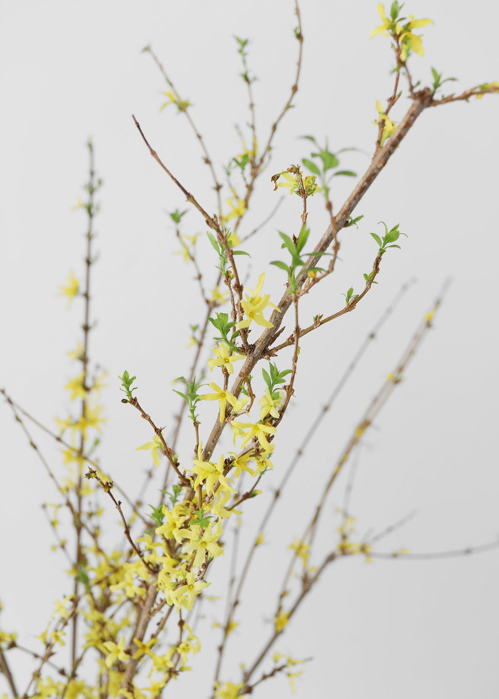 Faux Forsythia Branch for Vase Styling