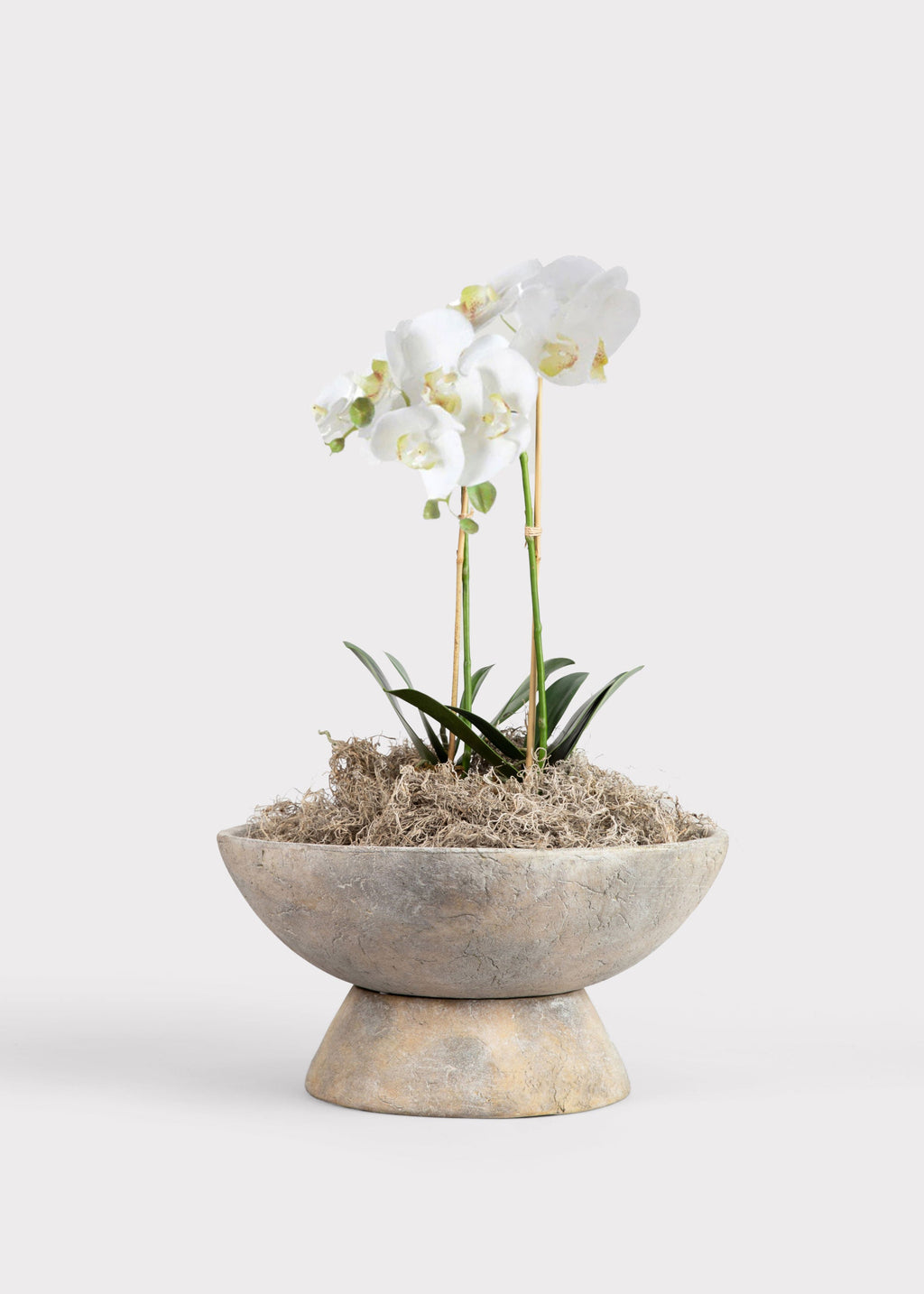 White Faux Orchid Plant for Planters and Shelves