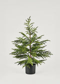 Faux Pine Arrangement for Home Decor