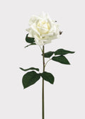White Real Touch Rose Stem for Vase and Wedding Styling