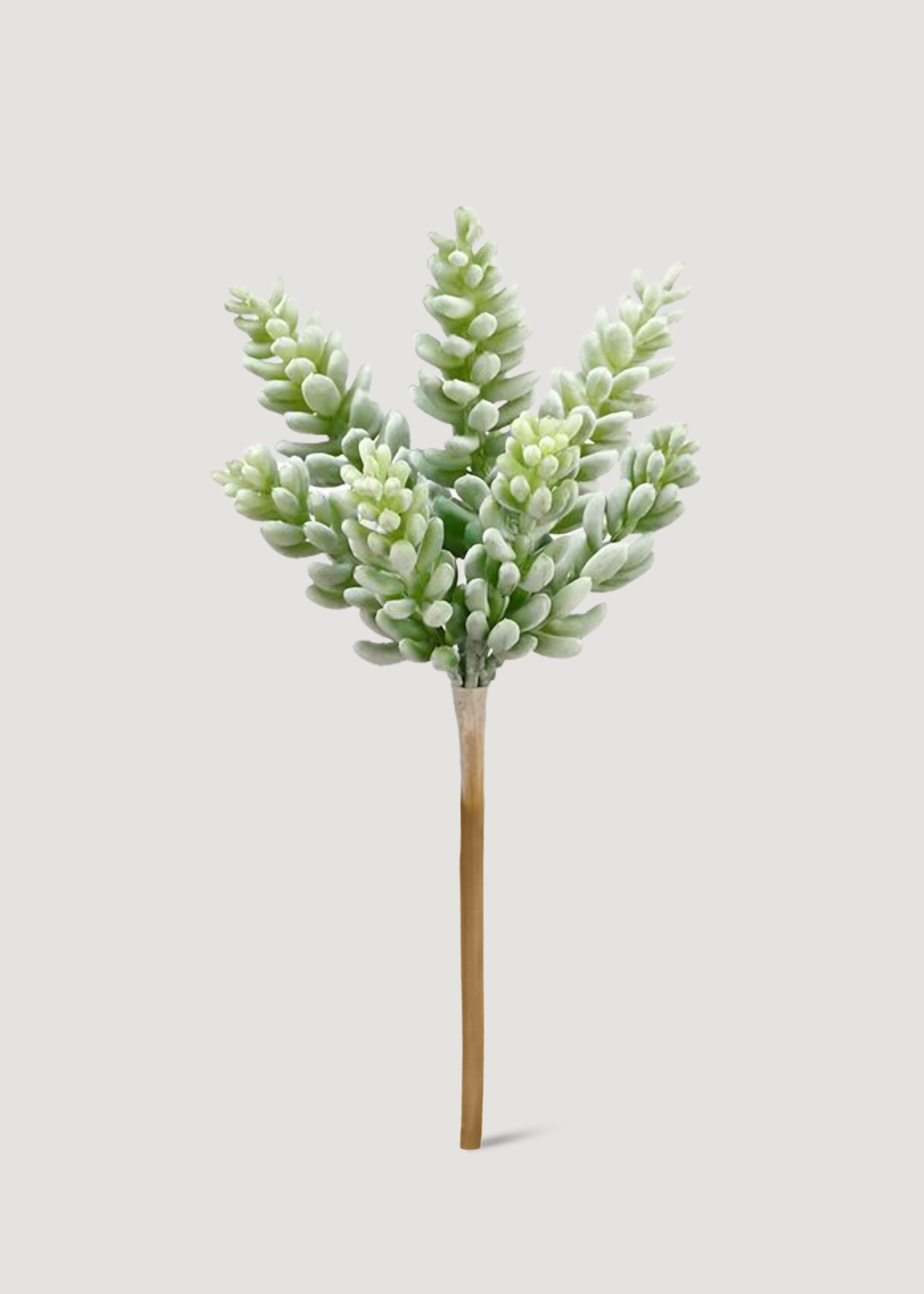 Real Touch Succulent Plant for Planters and Shelves